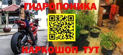гидра Кунгур
