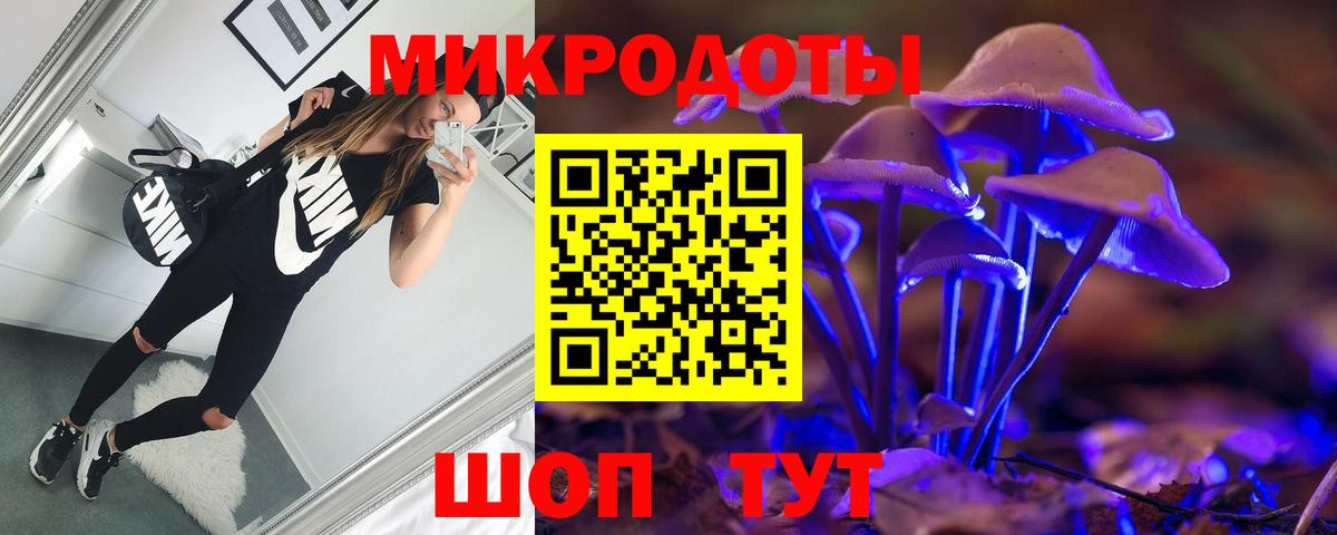 Киселёвск  Псилоцибиновые грибы GOLDEN TEACHER  Вход с VPN  Псилоцибиновые грибы Cubensis 